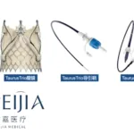 Peijia Medical Wins NMPA Approval for TaurusTrio TAV, First Transfemoral System for Aortic Regurgitation