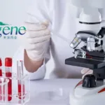 Adagene's Muzastotug Wins FDA Fast Track for CTLA-4 Cancer Combo