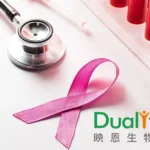 DualityBio’s DB-1310 Wins FTD as First HER3‑ADC for HR+/HER2‑ Breast Cancer