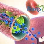TransThera NDA Accepted for Tinengotinib in Cholangiocarcinoma After FGFR Inhibitor