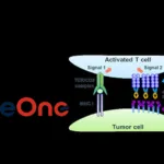BeOne Medicines Wins FDA Fast Track for GPC3 Bispecific in Liver Cancer