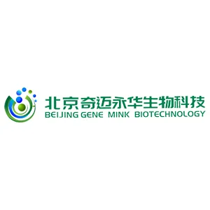 Explore the latest insights on Gene Mink Biotechnology and its impact on China's pharmaceutical industry. Fineline Info & Tech delivers reliable data, news, and intelligence to help you navigate the complexities of Gene Mink Biotechnology's developments with precision and clarity. Stay informed and enhance your decision-making at flcube.com.