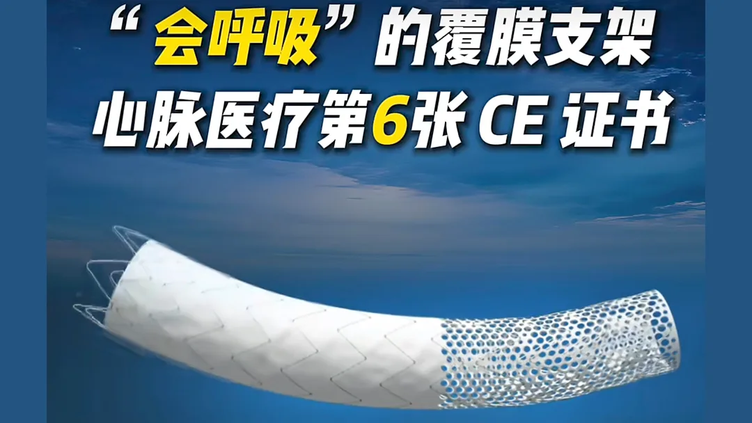 MicroPort Endovascular’s Talos Stent Graft Secures EU CE MDR Certification