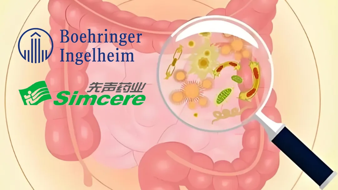 Boehringer Ingelheim Licenses Simcere’s SIM0709 Bispecific for Inflammatory Bowel Disease