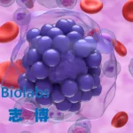 Nanjing Leads Biolabs Secures FDA Fast Track for LBL-034 in Multiple Myeloma
