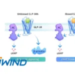 Sciwind's Ecnoglutide Wins NMPA Nod as First cAMP‑Biased GLP‑1 Agonist
