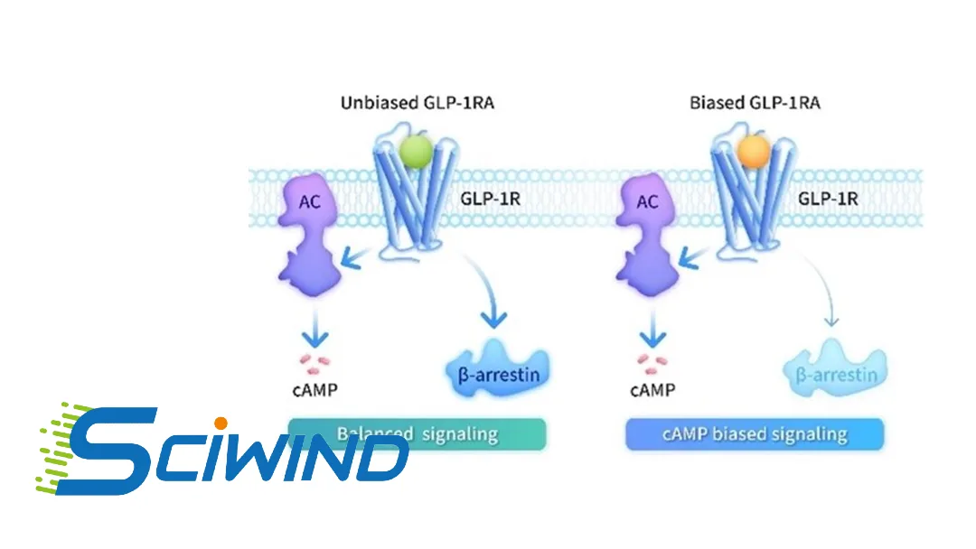 Sciwind's Ecnoglutide Wins NMPA Nod as First cAMP‑Biased GLP‑1 Agonist