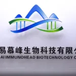 Immunofoco Bio Files Hong Kong IPO for Solid Tumor CAR-T Pipeline