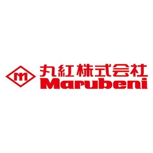 Explore the latest insights on Marubeni Pharmaceuticals and its impact on China's pharmaceutical industry. Fineline Info & Tech delivers reliable data, news, and intelligence to help you navigate the complexities of Marubeni Pharmaceuticals' developments with precision and clarity. Stay informed and enhance your decision-making at flcube.com.