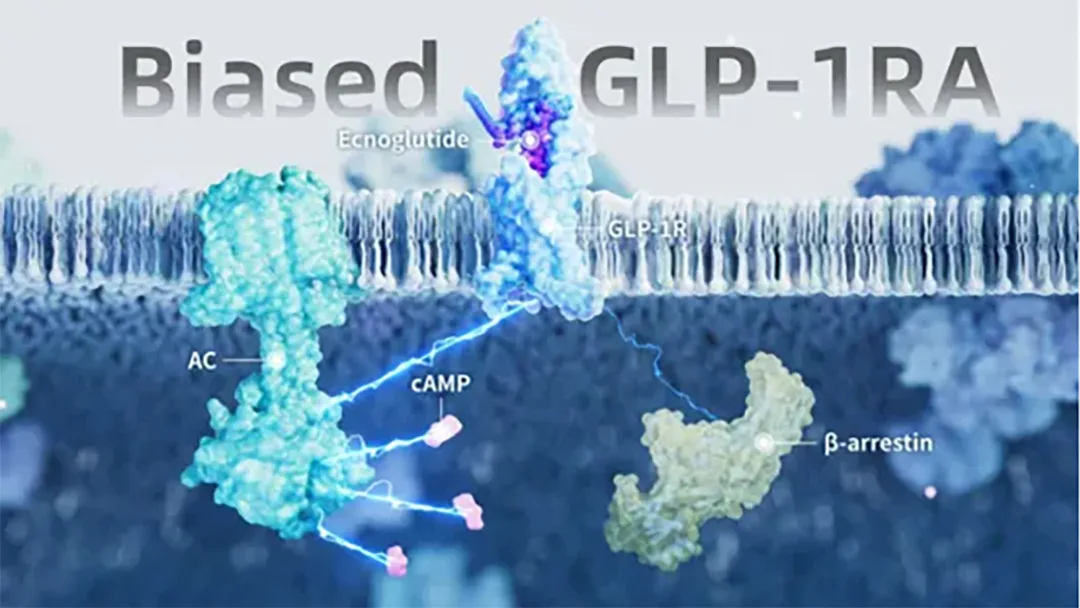 Sciwind's Ecnoglutide Wins NMPA Approval for Weight Loss – World's First cAMP-Biased GLP-1 Agonist Targets China Obesity Market