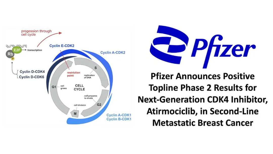 Pfizer Reports Positive FOURLIGHT-1 Results for Atirmociclib – CDK4 Inhibitor Shows PFS Benefit in Post-CDK4/6 Breast Cancer