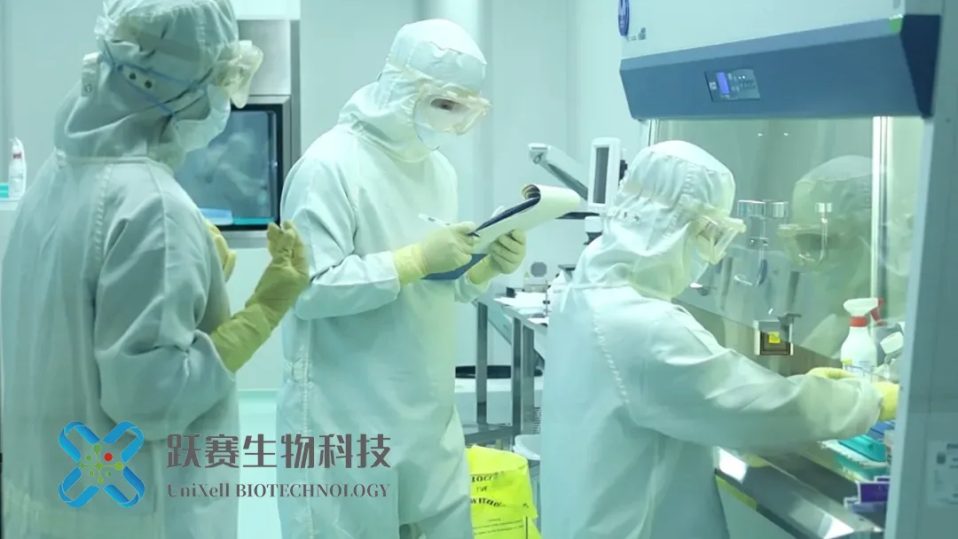 UniXell Biotechnology Secures NMPA IND Approval for UX-GIP001, World’s First iPSC-Derived Cell Therapy for Drug-Resistant Epilepsy