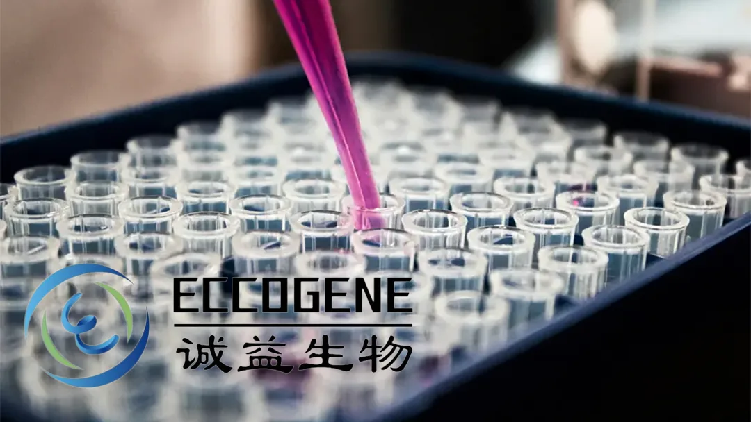 Eccogene Files Hong Kong IPO Prospectus with THR-β Agonist ECC4703 Leading Metabolic Disease Pipeline