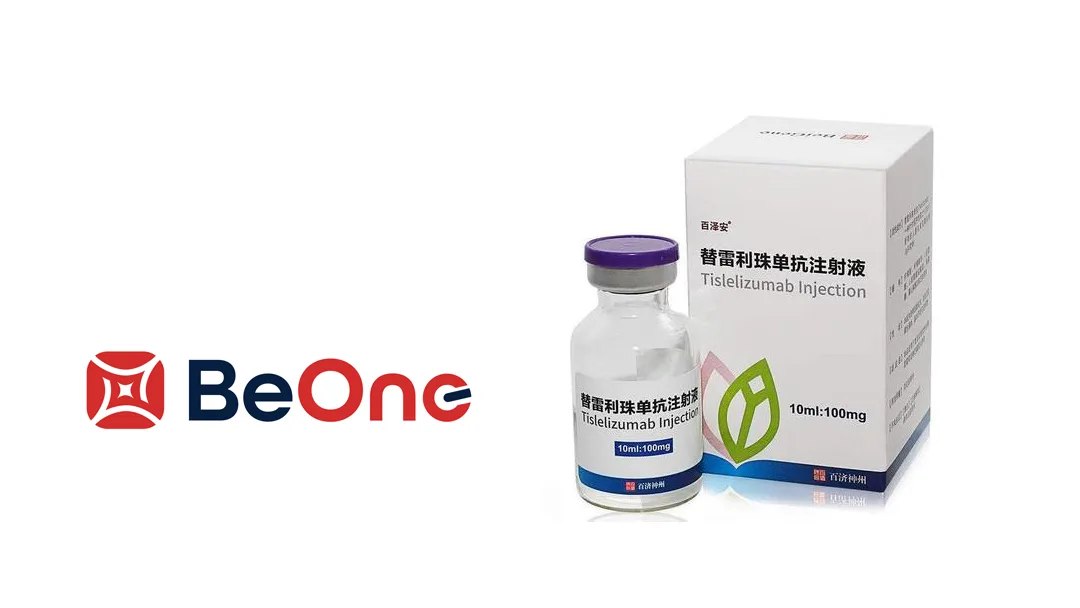 BeOne Medicines' Tislelizumab-Zanidatamab Combo Receives FDA Priority Review for HER2-Positive Gastric Cancer