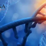 Starna Therapeutics Closes $40M Series B+ Round to Advance In Vivo CAR-T and Extrahepatic mRNA Delivery Platforms