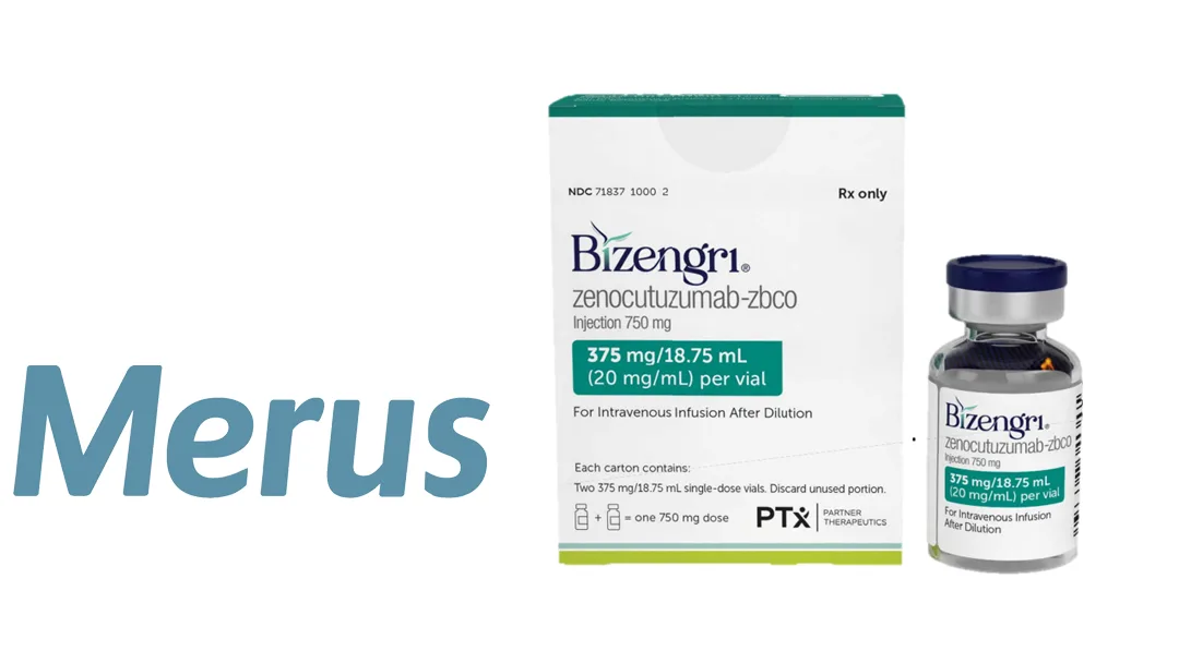 Merus' Bizengri Becomes First FDA-Approved Therapy for NRG1 Fusion-Positive Cholangiocarcinoma