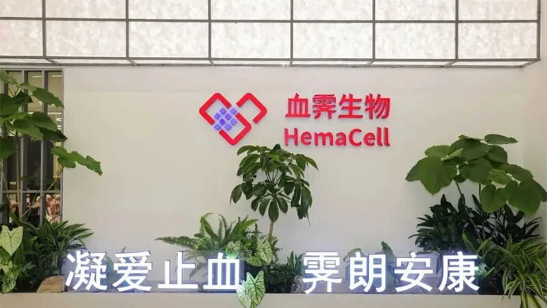 HemaCell Therapeutics Secures $44 Million Series B to Advance World's First Megakaryocyte Injection for Platelet Regeneration
