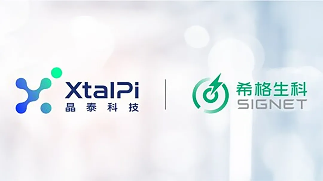 Xtalpi-Backed Signet Therapeutics Secures FDA IND Approval for World's First Pan-TEAD Inhibitor SIGX2649 Ahead of Schedule