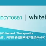 Biocytogen and Whitehawk Forge Global BsADC Partnership to Accelerate Next-Generation Cancer Therapies