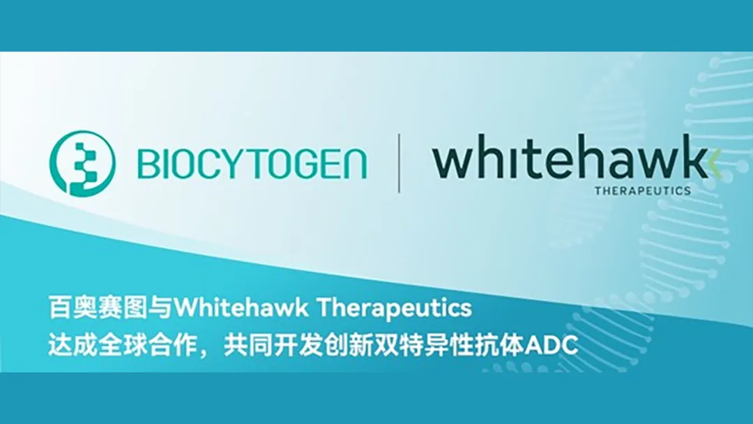 Biocytogen and Whitehawk Forge Global BsADC Partnership to Accelerate Next-Generation Cancer Therapies