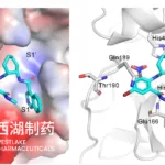 Westlake Consortium Secures NMPA Approval for Iscartrelvir, Novel Oral 3CLpro Inhibitor for Mild-to-Moderate COVID-19