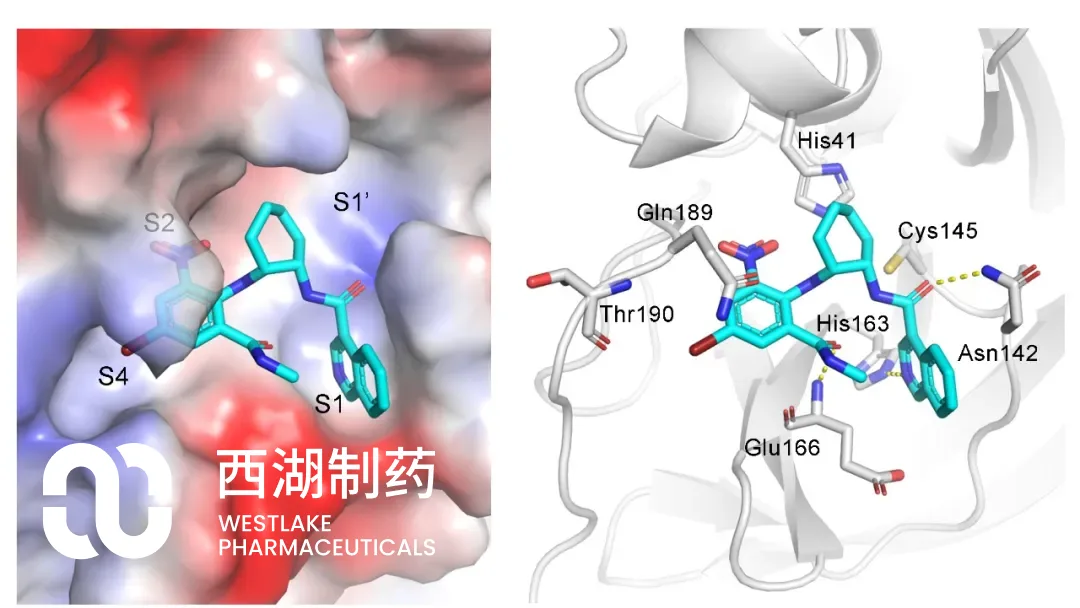 Westlake Consortium Secures NMPA Approval for Iscartrelvir, Novel Oral 3CLpro Inhibitor for Mild-to-Moderate COVID-19