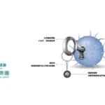 Grand Pharma's GPN01530-2 RDC Drug Snags FDA Fast Track for Solid Tumor Diagnosis