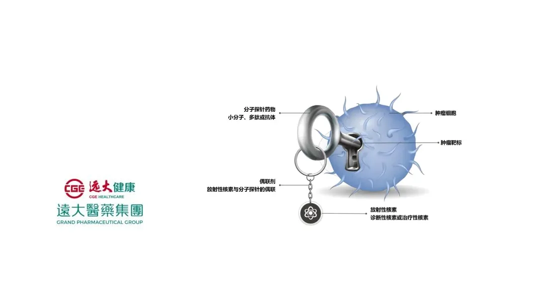 Grand Pharma's GPN01530-2 RDC Drug Snags FDA Fast Track for Solid Tumor Diagnosis