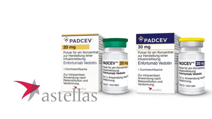 Astellas' PADCEV Plus Keytruda Receives Positive CHMP Opinion – Perioperative Muscle‑Invasive Bladder Cancer Regimen Nears EU Approval
