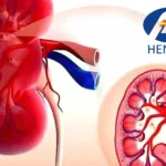 Jiangsu Hengrui Wins Dual NMPA Clinical Trial Approvals – SHR‑4595 Enters Advanced Solid Tumor Testing as HRS‑4729 Triple Agonist Advances to Phase II in CKD