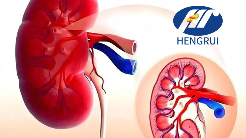 Jiangsu Hengrui Wins Dual NMPA Clinical Trial Approvals – SHR‑4595 Enters Advanced Solid Tumor Testing as HRS‑4729 Triple Agonist Advances to Phase II in CKD
