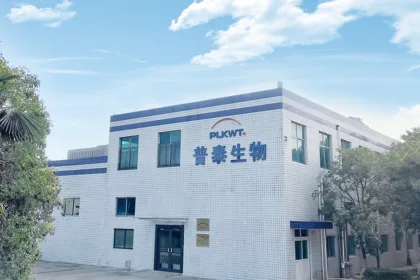 Synphatec Completes Over USD 50 Million Series A to Advance CNS Pipeline – Rapid‑Acting Antidepressant SP-101 and Alzheimer's Gene Therapy SP-201 Enter Next Development Phase