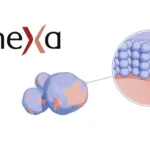 Novo Nordisk Licenses Nanexa's PharmaShell Platform in Up to EUR 1.165 Billion Global Deal – Targeting Monthly and Quarterly Long‑Acting Injectables for Obesity and Type 2 Diabetes