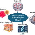 China's CDE Launches "Pioneer Plan" Pilot to Advance New Approach Methodologies (NAMs) in Non‑Clinical Drug Evaluation – Aiming to Reduce, Refine, and Replace Animal Testing