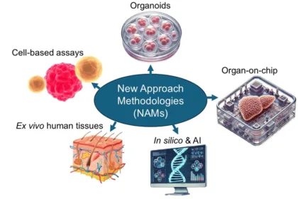China's CDE Launches "Pioneer Plan" Pilot to Advance New Approach Methodologies (NAMs) in Non‑Clinical Drug Evaluation – Aiming to Reduce, Refine, and Replace Animal Testing