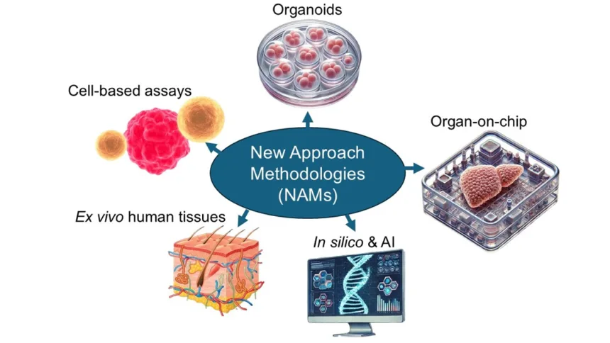 China's CDE Launches "Pioneer Plan" Pilot to Advance New Approach Methodologies (NAMs) in Non‑Clinical Drug Evaluation – Aiming to Reduce, Refine, and Replace Animal Testing