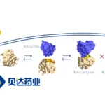 Betta Pharmaceuticals Secures FDA IND Approval for BPI‑572270 Capsules – Novel Pan‑RAS "Non‑Degradative Molecular Glue" Inhibitor Advances into U.S. Clinical Trials