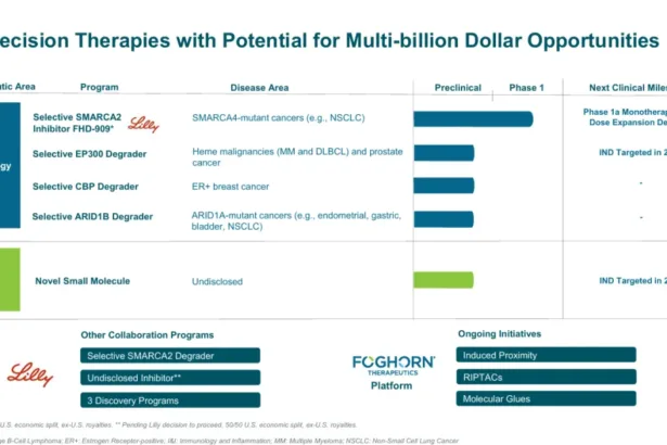 Foghorn Therapeutics and Lilly Discontinue FHD‑909 and SMARCA2 Programs – Gene Traffic Control Collaboration Ends After Phase 1 Review