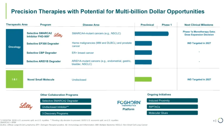 Foghorn Therapeutics and Lilly Discontinue FHD‑909 and SMARCA2 Programs – Gene Traffic Control Collaboration Ends After Phase 1 Review