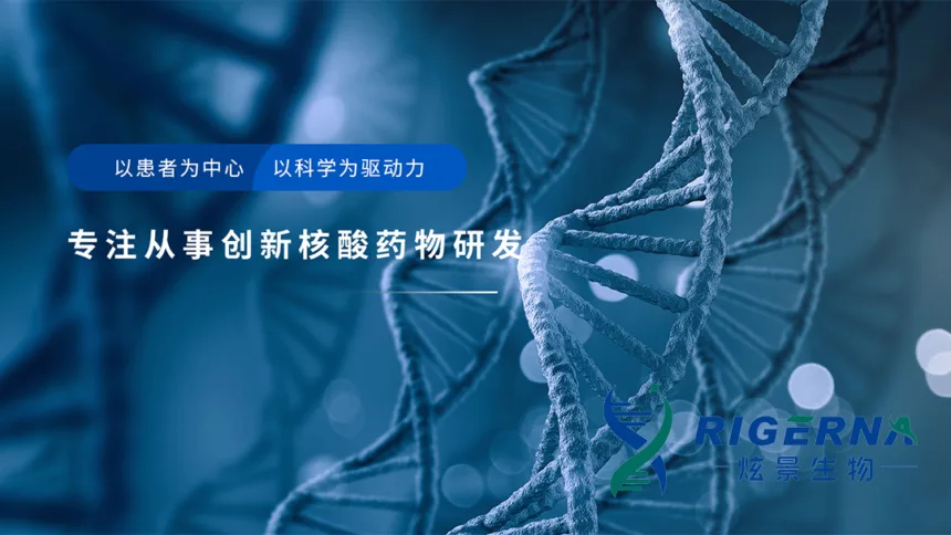 Suzhou Rigerna Therapeutics' RG002C0106 Injection Supplemental Application Accepted by China's CDE – Class 1 Chemical Drug Enters Regulatory Review
