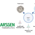 CARsgen Doses First Patient in Registrational Phase I Trial of CT0596 – Allogeneic BCMA CAR‑T Built on THANK‑u Plus® Platform Advances Toward Relapsed/Refractory Multiple Myeloma