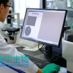 Huadong Medicine Subsidiary Doer Bio's DR30206 Cleared for Clinical Trials by NMPA – Triple‑Targeting PD‑L1/VEGF/TGF‑β Fusion Protein Advances Against Recurrent or Metastatic Head and Neck Squamous Cell Carcinoma