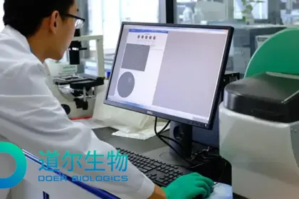 Huadong Medicine Subsidiary Doer Bio's DR30206 Cleared for Clinical Trials by NMPA – Triple‑Targeting PD‑L1/VEGF/TGF‑β Fusion Protein Advances Against Recurrent or Metastatic Head and Neck Squamous Cell Carcinoma