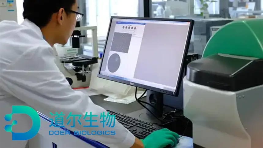 Huadong Medicine Subsidiary Doer Bio's DR30206 Cleared for Clinical Trials by NMPA – Triple‑Targeting PD‑L1/VEGF/TGF‑β Fusion Protein Advances Against Recurrent or Metastatic Head and Neck Squamous Cell Carcinoma