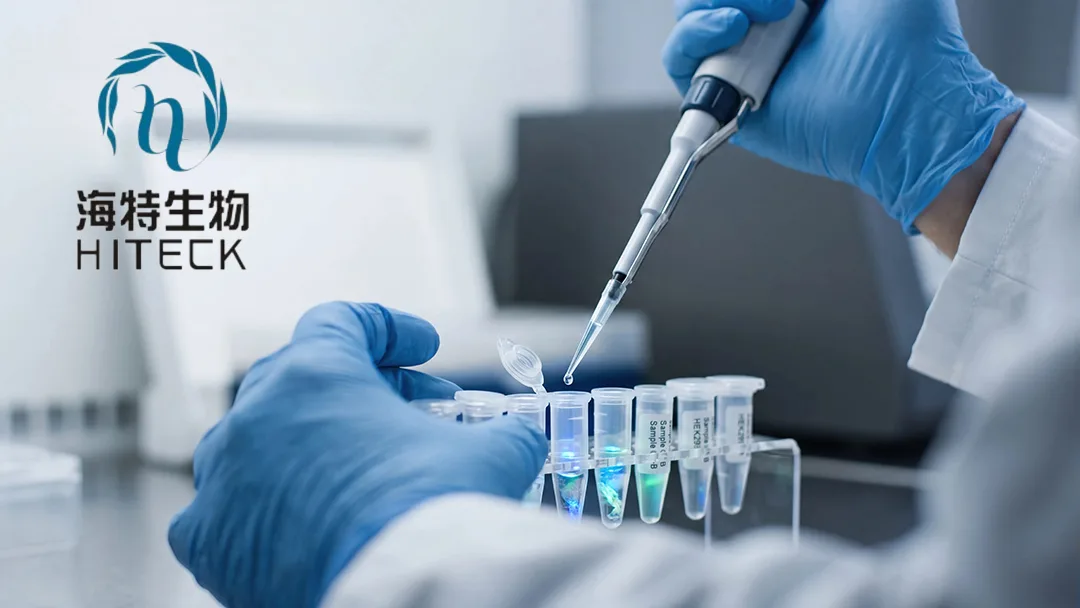 Wuhan Hiteck Licenses HT006.2.2 rhNGF Eye Drops to Visara for Ex‑Greater China – Up to USD 111 Million Deal Advances Next‑Generation Neurotrophic Keratitis Therapy