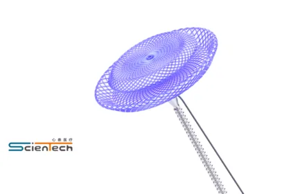 Lepu Scientech's MemoCarna Oxide Film Single‑Rivet PFO Occluder Approved for Market Launch by NMPA – Novel Design Targets Residual Shunts in Patent Foramen Ovale Closure