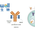 Mabwell to Present Phase II Data for Nectin‑4 ADC 9MW2821 at ESMO 2026 – 30.0% ORR in Post‑TOP1i‑ADC Triple‑Negative Breast Cancer, Headlining Four Phase III Programs