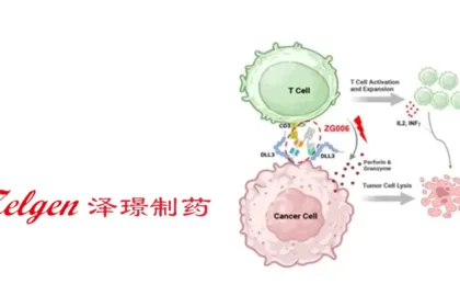 Zelgen Receives USD 10 Million Milestone Payment from AbbVie for ZG006 (Alveltamig) – Clinical Progress Triggers Second Payout Under Global Oncology Collaboration