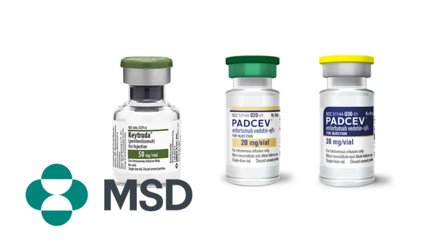 European Commission Approves Merck's KEYTRUDA Plus Padcev for Resectable Muscle-Invasive Bladder Cancer – First and Only PD-1 Inhibitor–ADC Regimen for MIBC in the EU